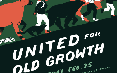 160+ organizations call on BC to follow through on old-growth commitments